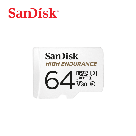 SanDisk High Endurance Class 10 microSD